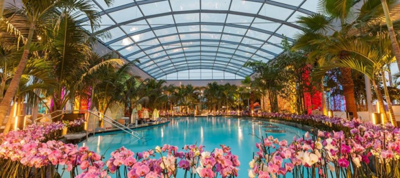 Тропически СПА релакс в Терме Букурещ и посещение на коледни базари - 1BB (от Пловдив)/ 06.12.2025 г.